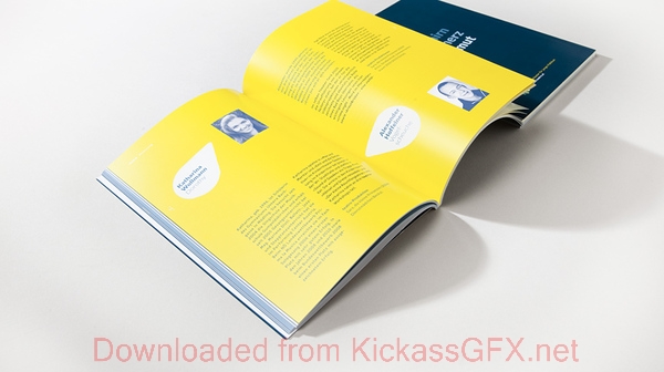 账号验证码的ddos在线网页端